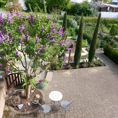 Ferienwohnung Schillinger Sasbach am Kaiserstuhl Exterior foto